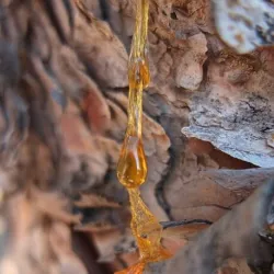 Kadzidło indyjskie całe  30 g