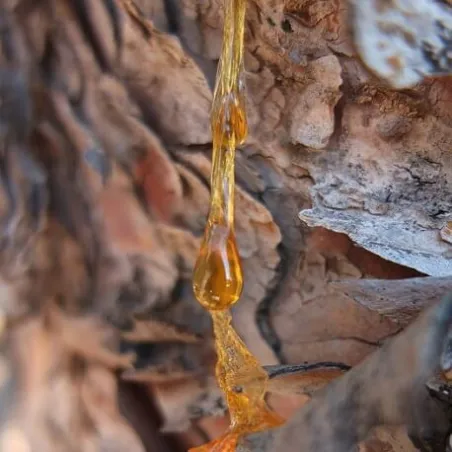 Kadzidło indyjskie całe  30 g