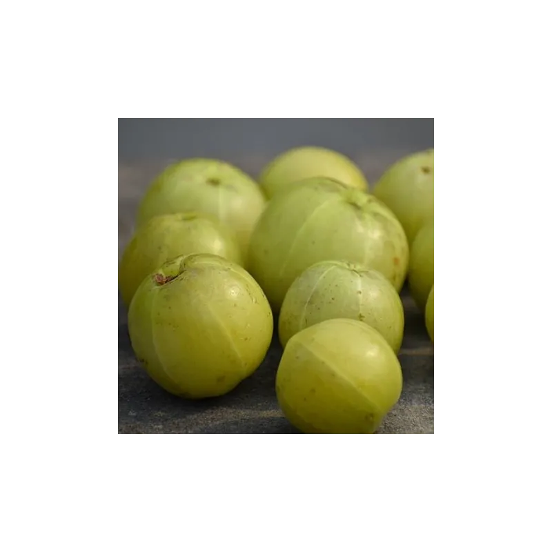 Amla w proszku  10 g