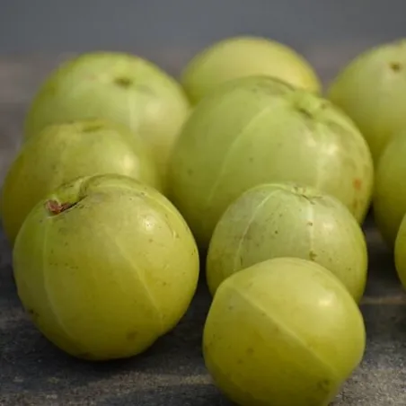 Amla w proszku  50 g