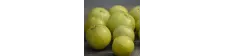 Amla w proszku 100 g