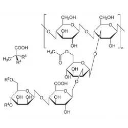 Guma ksantanowa  50 g