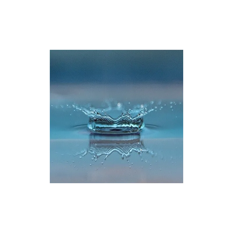 Kwas L-mlekowy 80%  100 g spożywczy