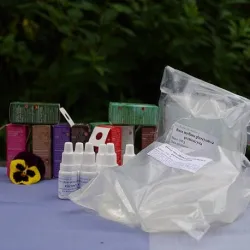 Mydła glicerynowe - zestaw startowy duży przeźroczysty