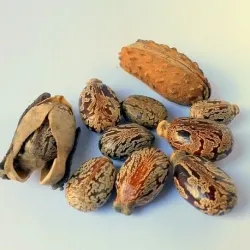 Olej rycynowy 1000 ml