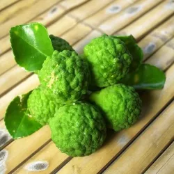 Olejek Bergamotowy eteryczny 10 ml