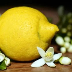 Olejek Cytrynowy eteryczny 30 ml