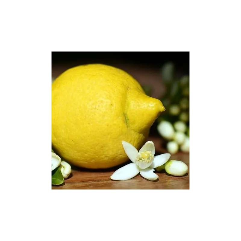 Olejek Cytrynowy eteryczny 30 ml