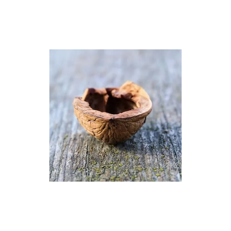 Peeling z łupin orzecha 50 g