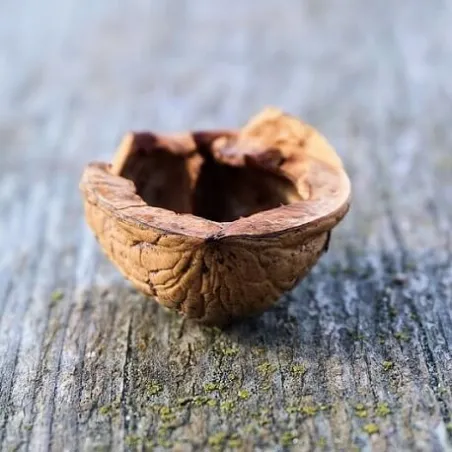 Peeling z łupin orzecha 50 g