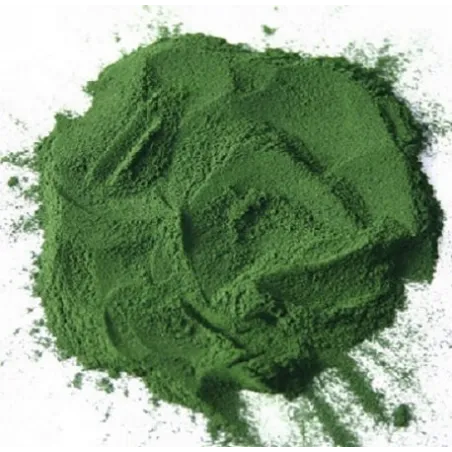 Spirulina proszek 50 g