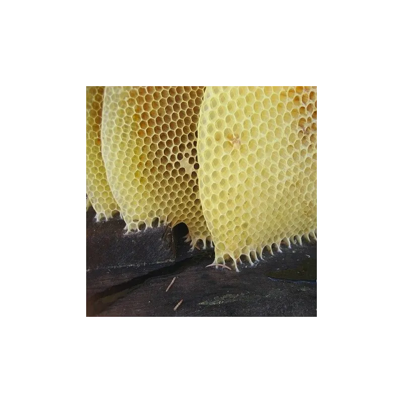 Wosk pszczeli żółty 100 g