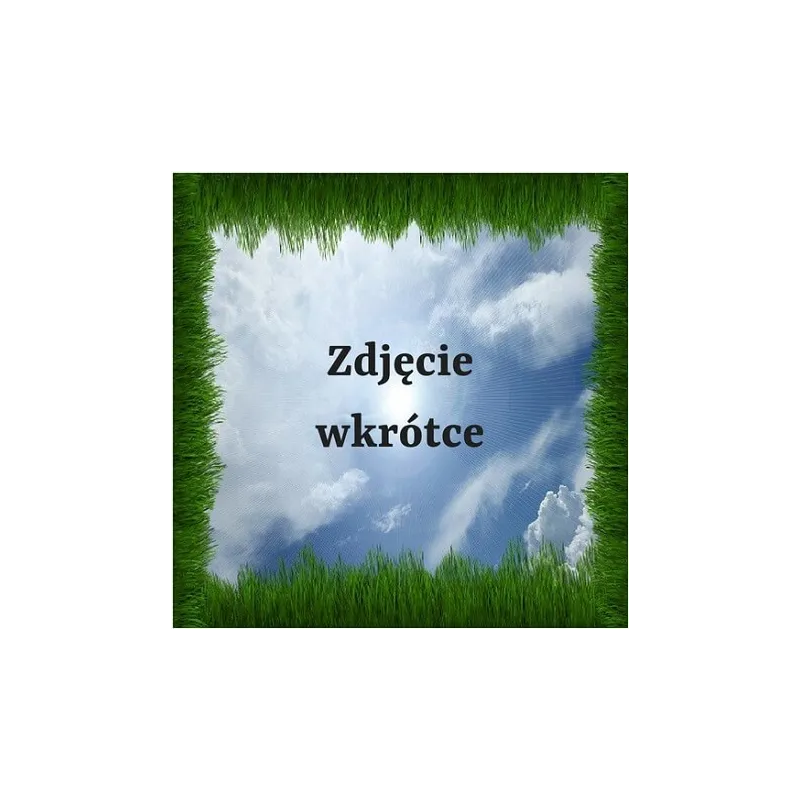 Cytrynian sodu spożywczy  100 g