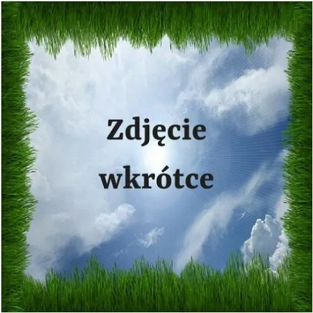 Cytrynian sodu spożywczy  100 g