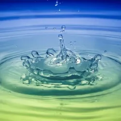 kwas octowy 80% czda