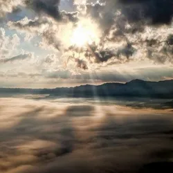 Tlenek cynku CZDA 50 g